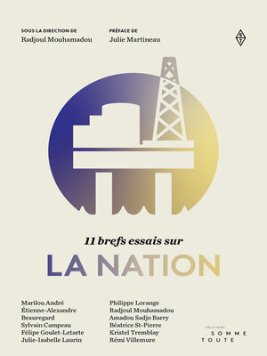 cover image of 11 brefs essais sur la nation